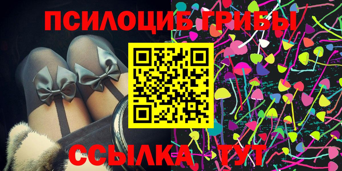 Галлюциногенные грибы Psilocybe Мценск