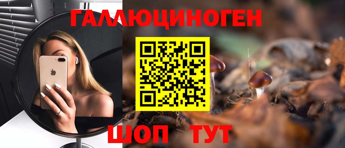 Мценск  Галлюциногенные грибы прущие грибы  Вход с VPN  Галлюциногенные грибы Psilocybine cubensis 